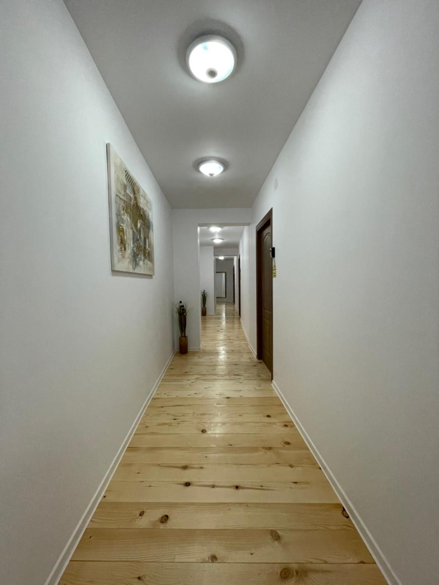 Schei Central Studios In The Heart Of Braşov Buitenkant foto